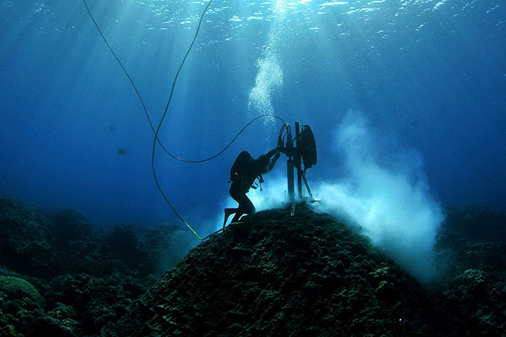 Week in Wildlife: divers examining coral at Clerke Reef, Western Australia