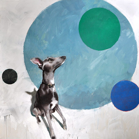 James Hart Dyke: Dog in the Round 2010