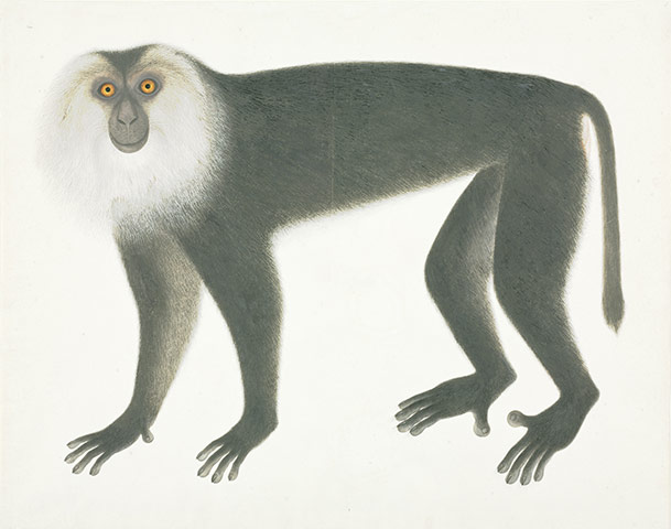 Tate Watercolour: Tate Watercolour