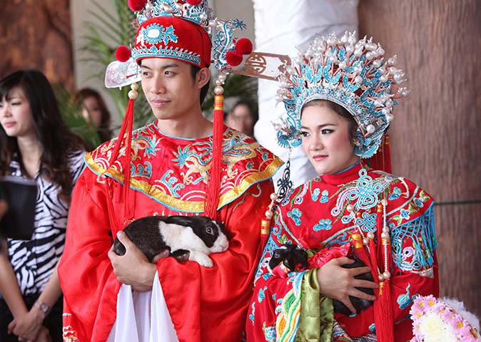 Valentine's Day: Chiang Mai, Thailand: Rabbits tie the knot