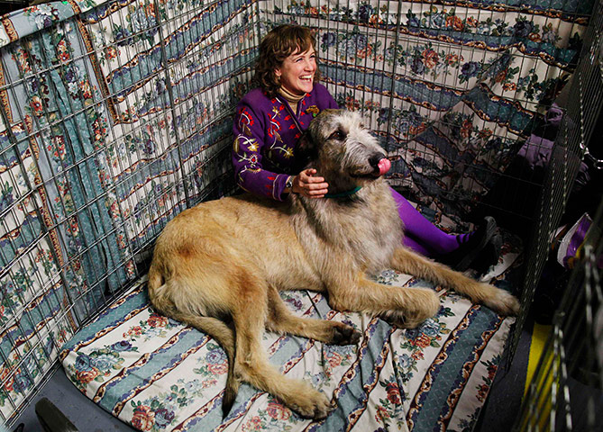 Westminster Dog Show: 135th Westminster Kennel Club Dog Show in New York
