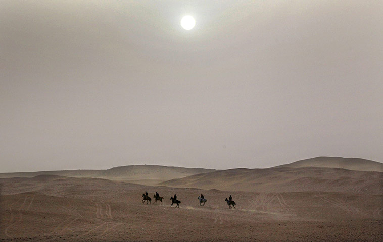 24 hours in pictures: necropolis  at Giza