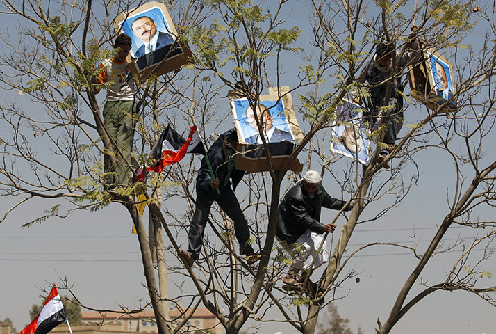 Protests spread: Sana'a, Yemen: Supporters of Yemen's government in a tree holding posters