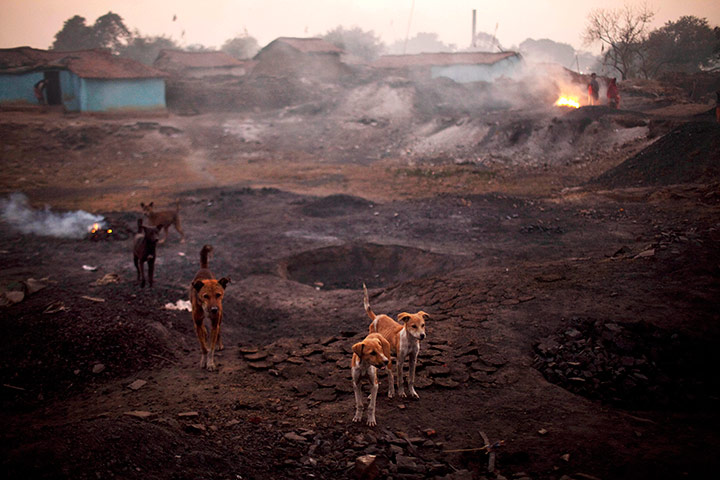 Kevin Frayer coal mine: Coal scavengers in Bokapahari, India