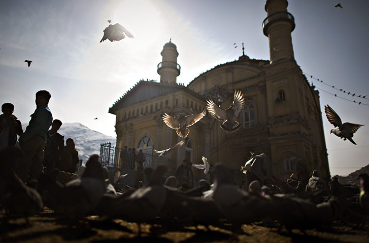 24 hours in pictures: Pigeons fly in front of the Shah-Do-Shamshira Mosque, kabul