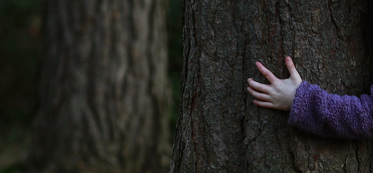 Week in wildlife: A young girl plays round a tree in Alice Holt Forest in southern England