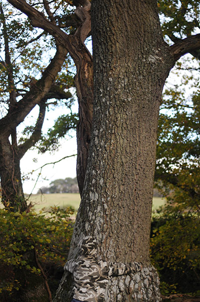 In pictures: hidden: Boy camouflaged against tree
