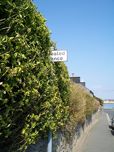 In pictures: hidden: Gansey on the Isle of Man