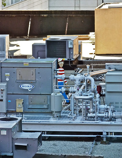 In pictures: hidden: Waldo in San Francisco