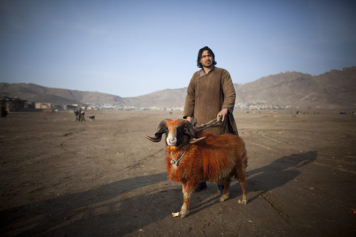 24 Hours In Pix: Afghan and Ram