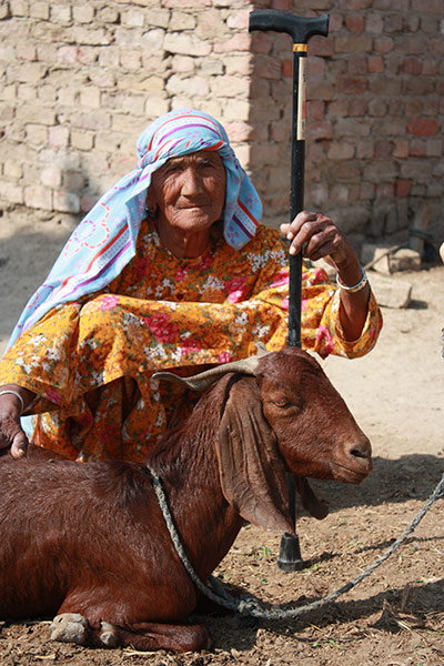 HelpAge in Pakistan: MDG : HelpAge International work for elderlies in Pakistan 