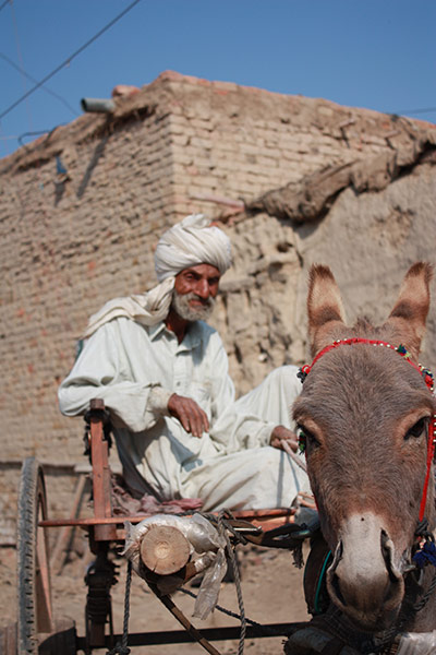 HelpAge in Pakistan: MDG : HelpAge International work for elderlies in Pakistan 