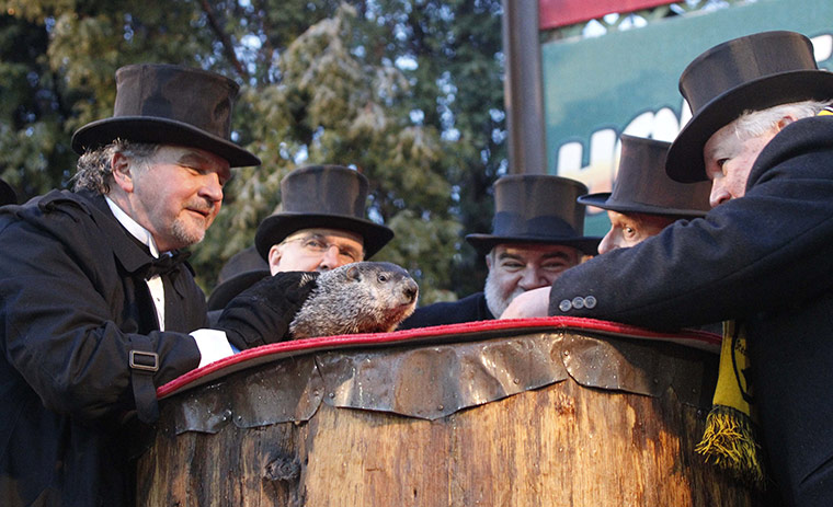 Goundhog Day: Punxsutawney Phil, the weather predicting groundhog