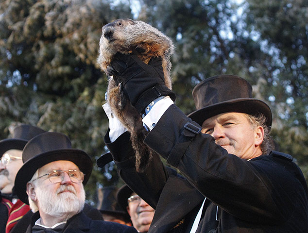 Goundhog Day: John Griffiths holds Punxsutawney Phil groundhog