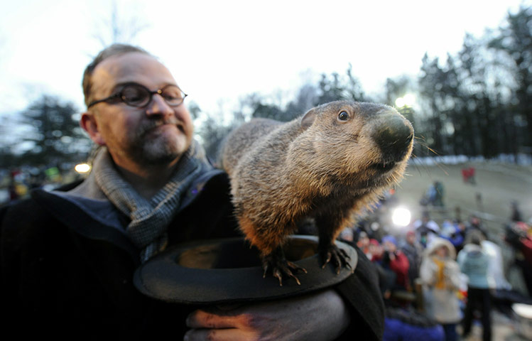 Groundhog Day: Crowds Gathering On Groundhog's Day