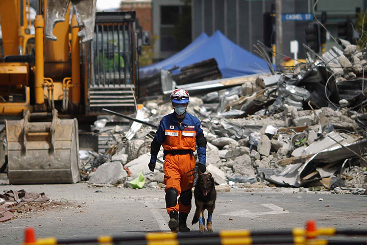 Christchurch earthquake: A Japanese rescue worker and dog walks past the rubble of the CTV building