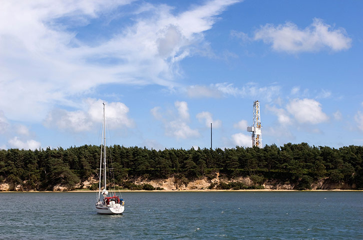 Week in Business: Furzey island in Poole Harbour with Wytch Farm in the background
