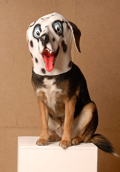 Exhibitionist 2602: Dutton and Swindells