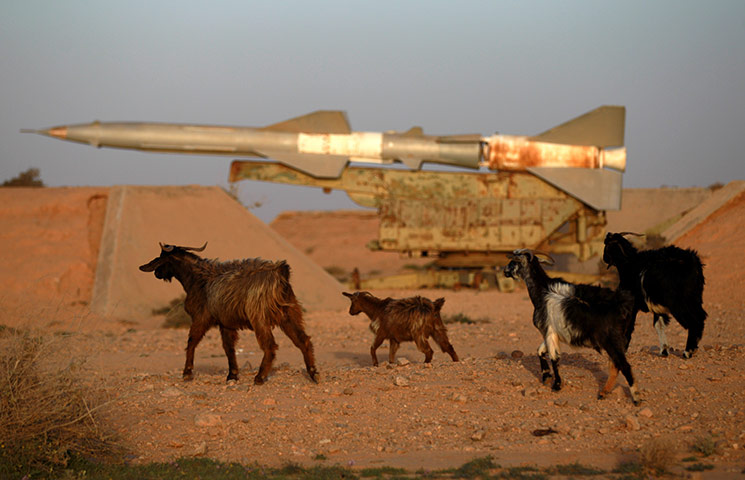 24 hours in pictures: Goats walk past a surface-to-air missile in Libya