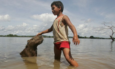 A boy plays with a capybara on the banks of the Xingu River near Altamira, Brazil