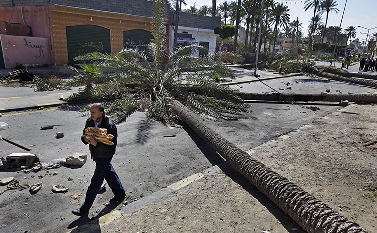 Libya 26 Feb: A Libyan man walks past felled palm trees used as roadblocks