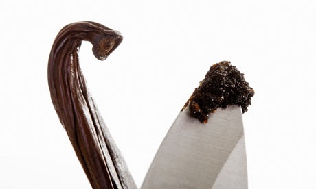 vanilla pod and seeds