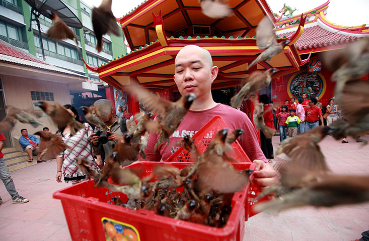 Chinese New Year: An Indonesian Chinese man releases birds in Jakarta