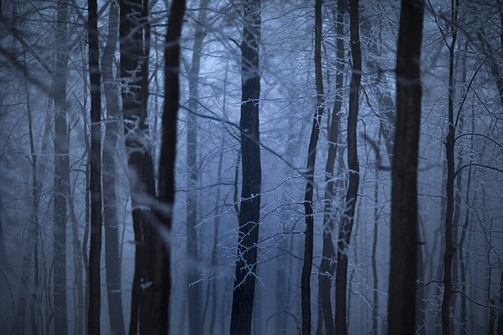 Week in wildlife: A Massive Winter Storm Moves Into the American Northeast