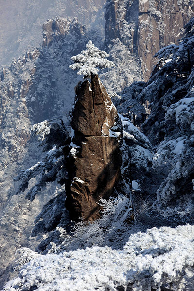Week in wildlife: Yellow Mountain (Huang Shan Mountain), Anhui Province, east China 