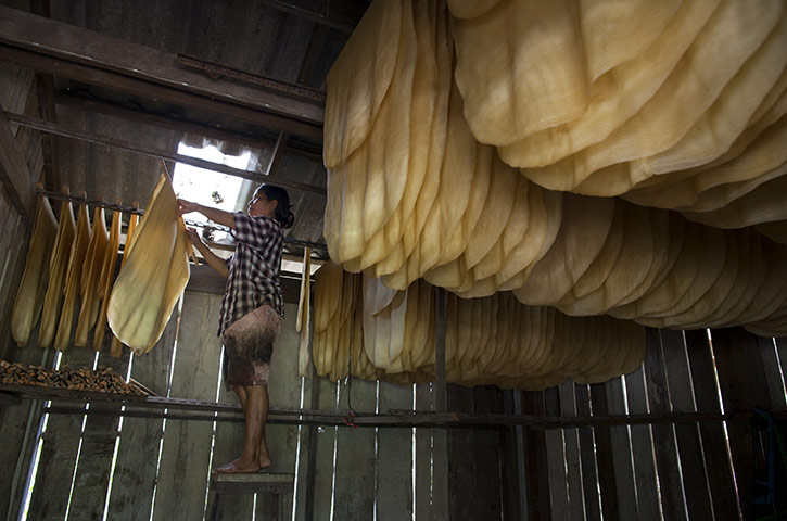 24 hours in pictures: Woman hangs sheets of rubber in a rubber drying shack, Thailand