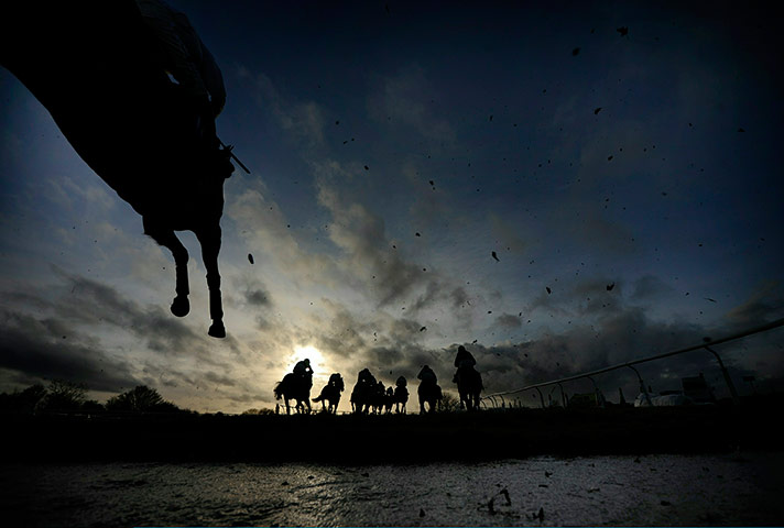24 hours in pictures: Wincanton Races