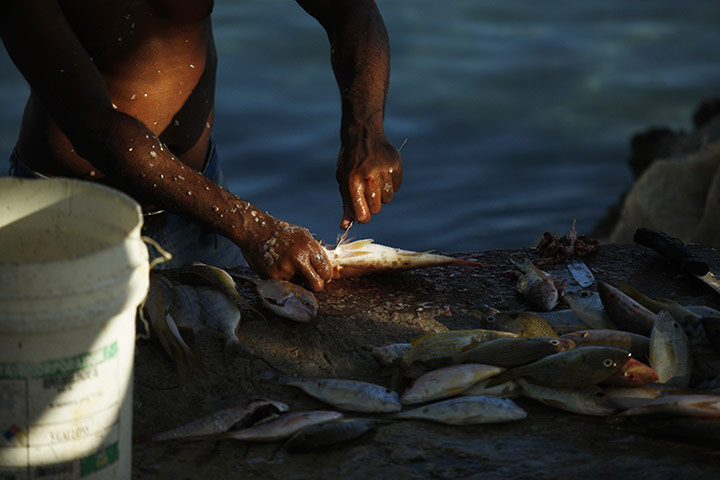 24 hours: Bayahibe, Dominican Republic: A resident descales fish