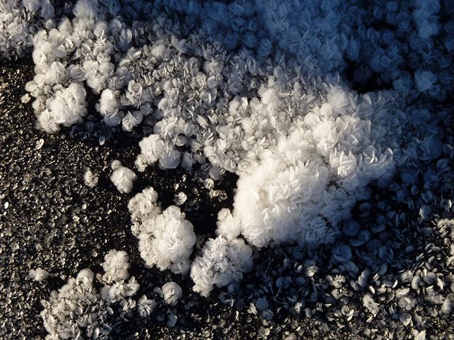 Green Shoots: Frost 2