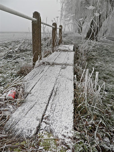 Green Shoots: Frost 2