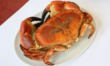 Cooked crab