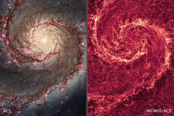 Social Forum: Whirlpool Galaxy