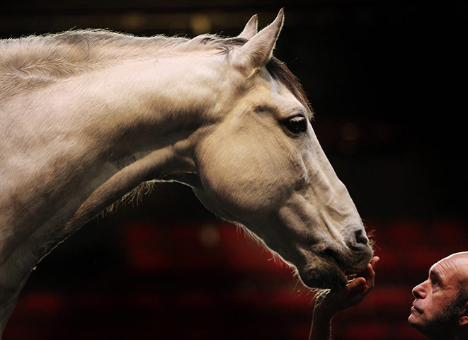 24 hours in pictures: Sadler's Wells Theatre horse trained