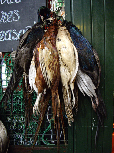 In pictures: extinguish: birds in Borough Market