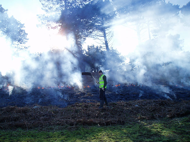 In pictures: extinguish: burning bracken