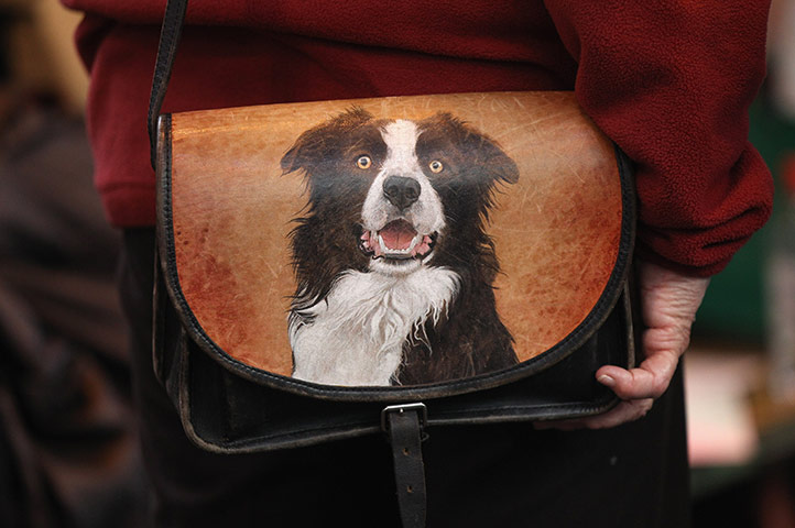 Crufts Friday: A woman holds her dog-print handbag