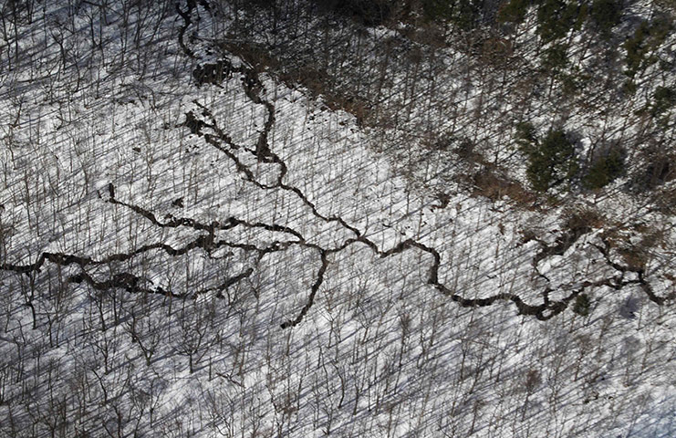 24 Hours in Pictures: Cracks in woodlands near Sendai