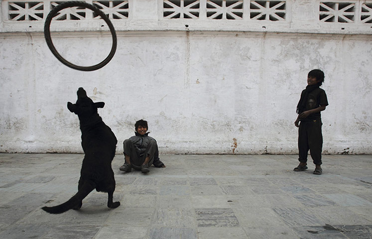 24 hours in pictures: A street child palys with a stray dog in Kathmandu