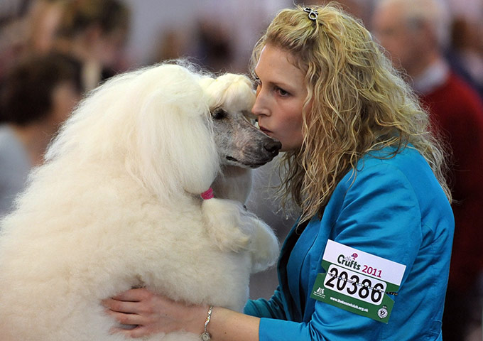 Final day of Crufts : Final day of Crufts in Birmingham 2011