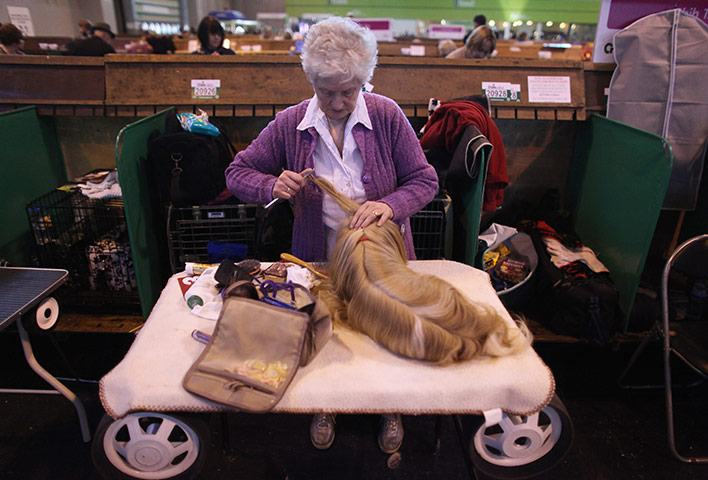 Final day of Crufts : Final day of Crufts in Birmingham 2011