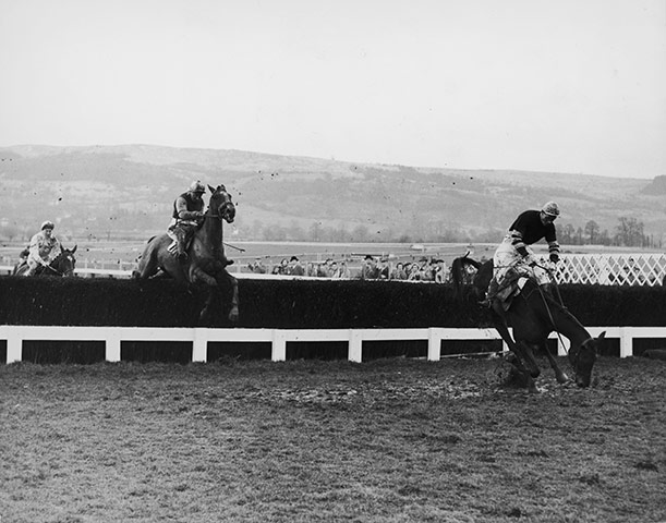 Cheltenham Retrospective: Cheltenham Gold Cup 1959 - Pas Seul Falls