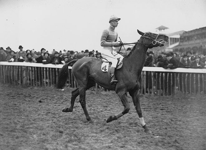 Cheltenham Retrospective: Golden Miller