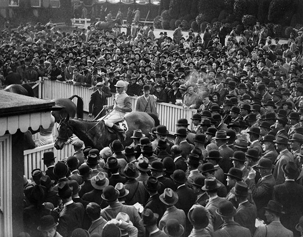 Cheltenham Retrospective: Cheltenham - crows watching Gold Cup winner Morse Code