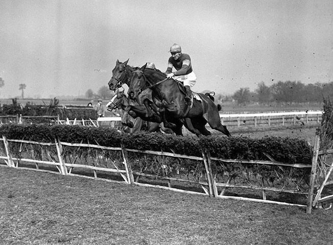 Cheltenham Retrospective: Cheltenham Race - Anarchist meading Seneca in Champion Hurdle