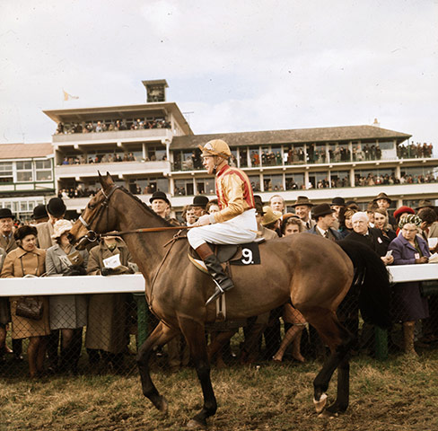 Cheltenham Retrospective: Pat Taaffe On French Tan at teh Cheltenham Gold Cup