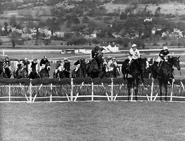Cheltenham Retrospective: Horses negotiate the 3rd fence of the Champion Hurdle race at Cheltenham 67